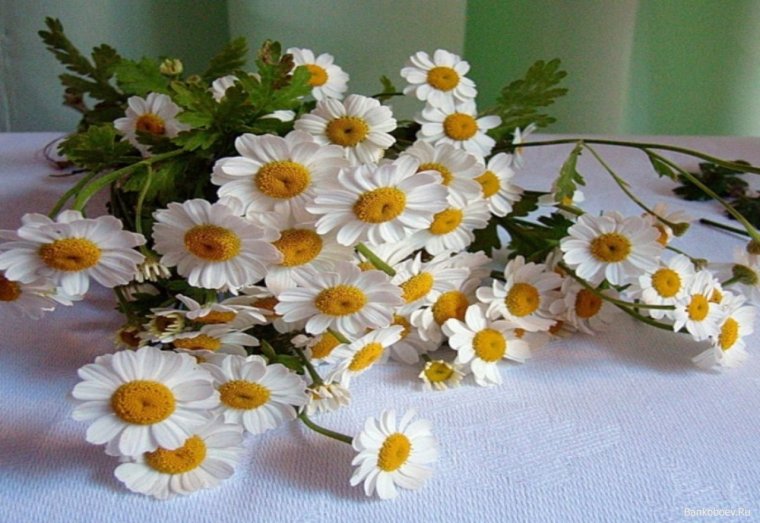 Открытки с добрым днём