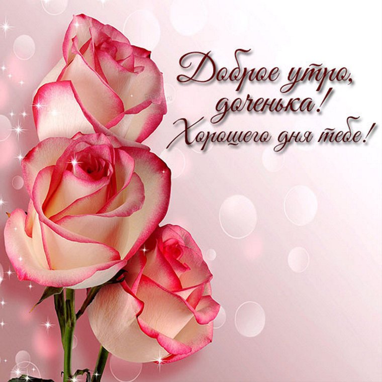 Открытки привет прикольные