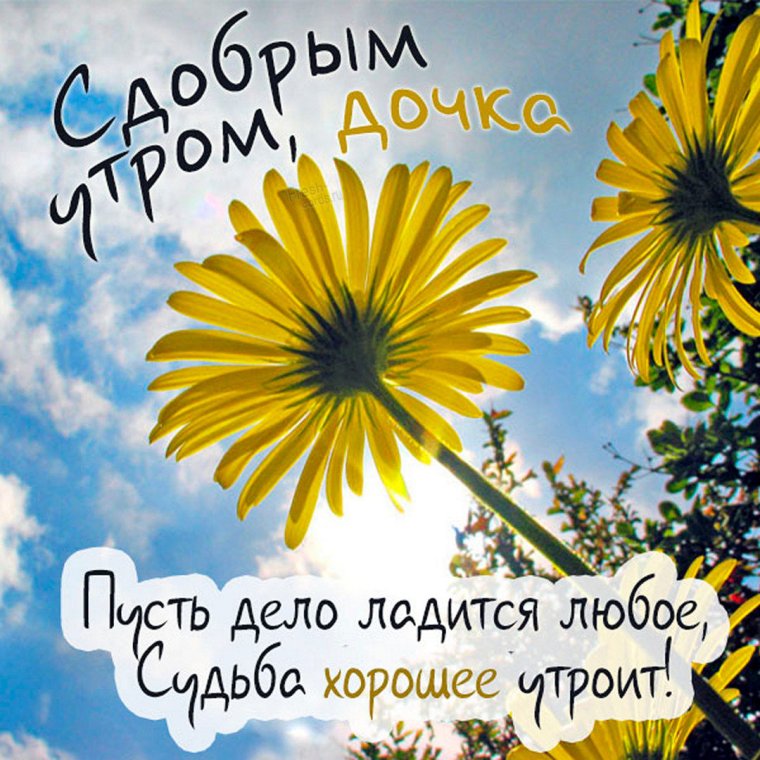 Открытки с добрым утром прикольные