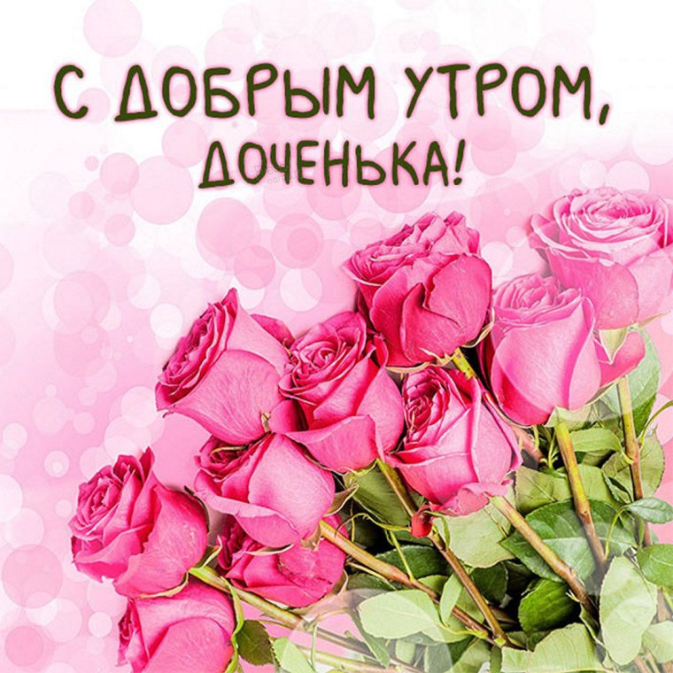 Розы и чашка чая