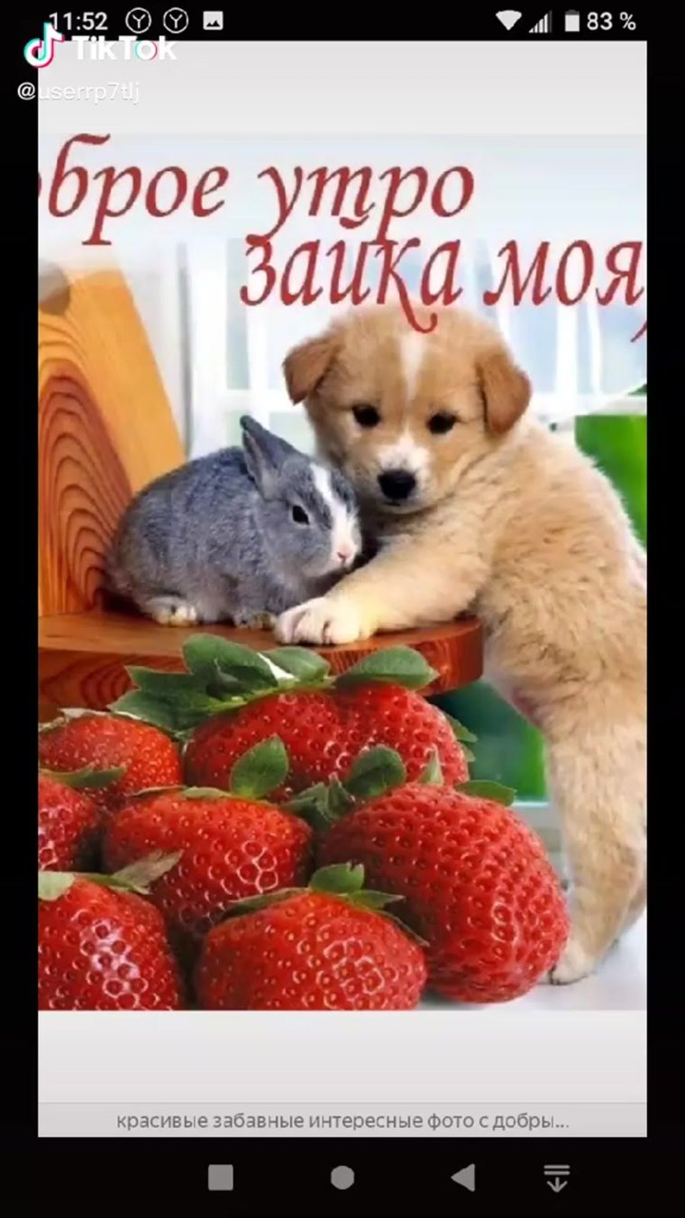 Пожелания удачного дня