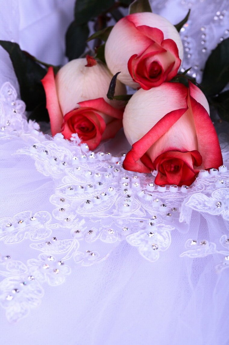 Торт Алиса в стране чудес на 1 год