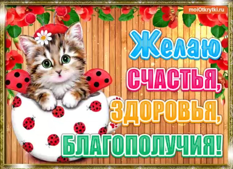 Здоровья счастья благополучия