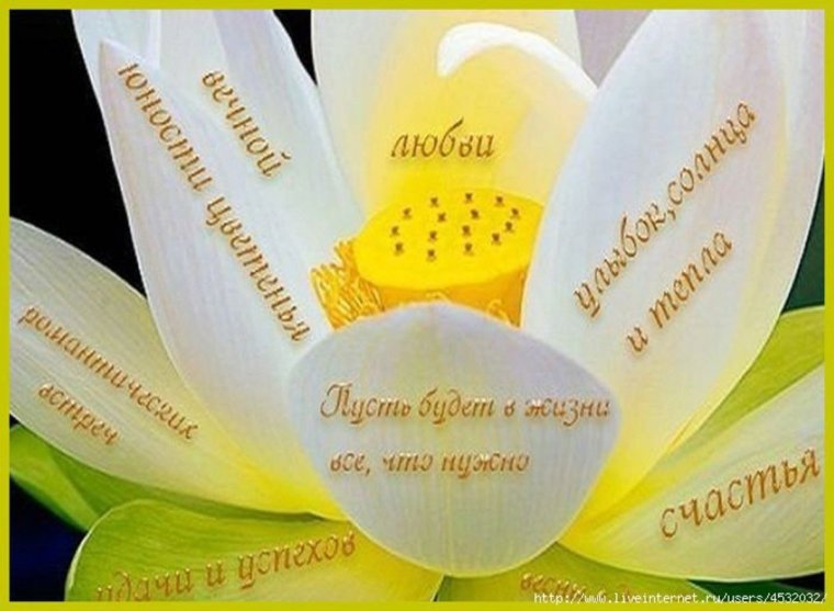 Пожелания радости жизни