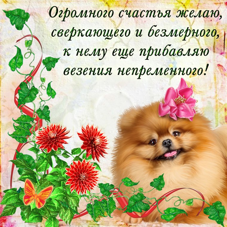 Пожелания счастья