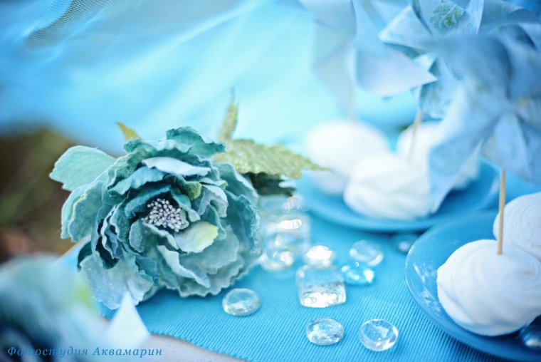 Сине белые цветы