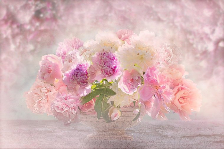 С днём рождения Аня