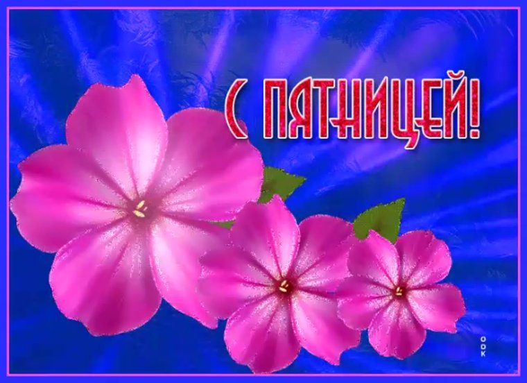 Доброго дня пятницы