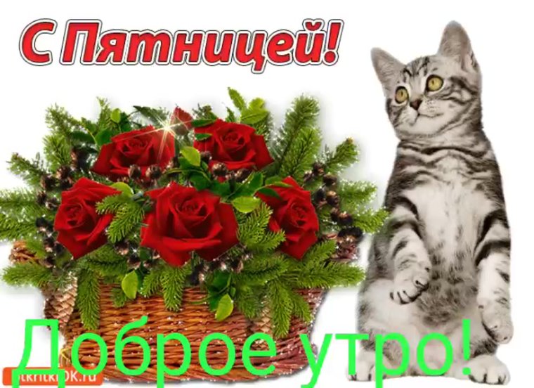 Поздравления с новым днём и пожелания
