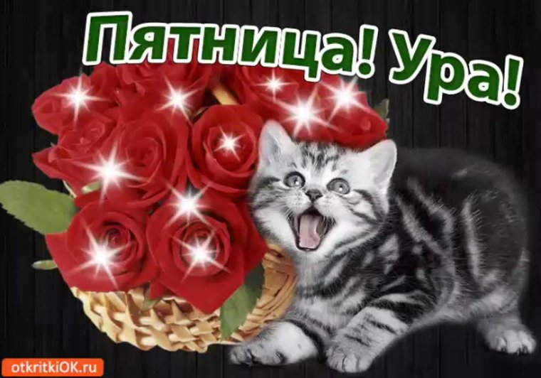 Доброго дня пятницы