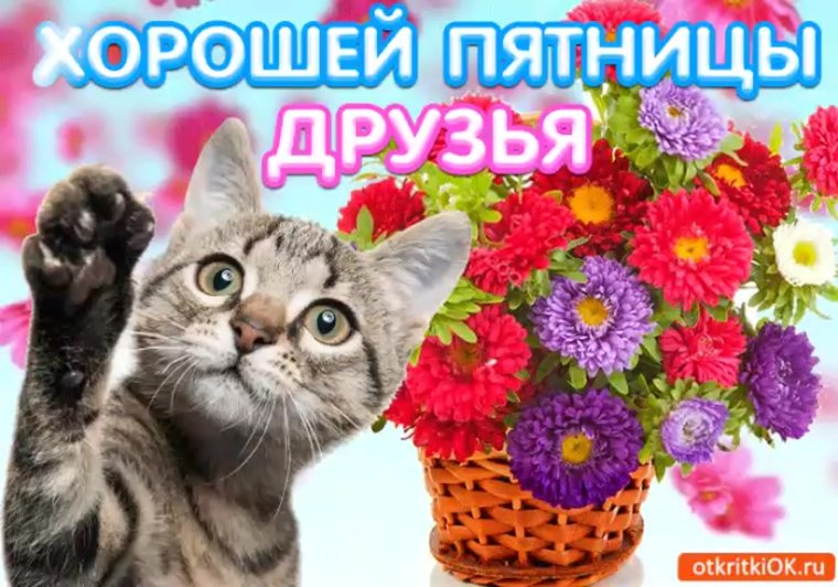 Отличного настроения в пятницу