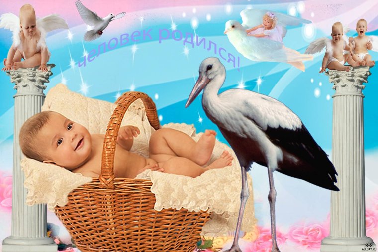 У меня родился внук