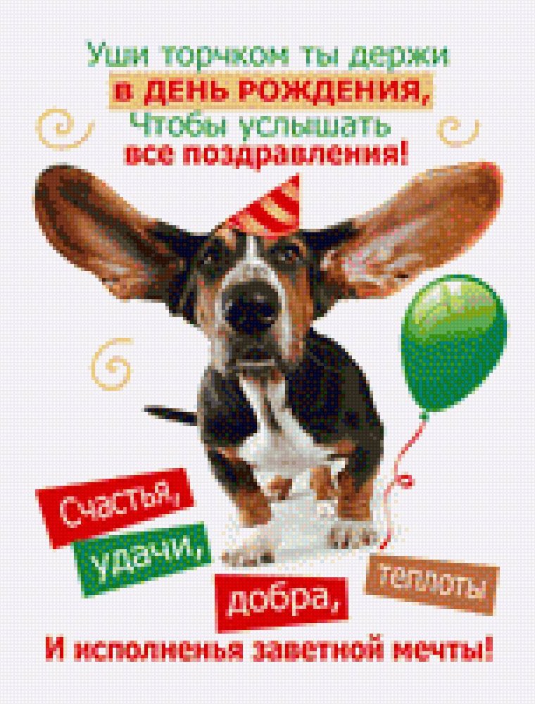 Прикольные поздравления с днем рождения