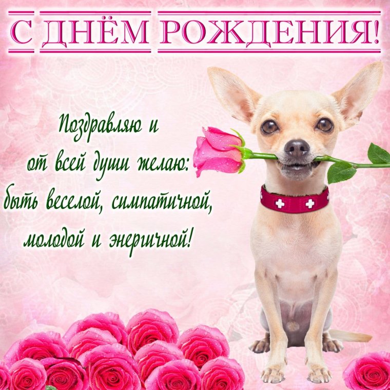 Поздравления с днём рождения девушке