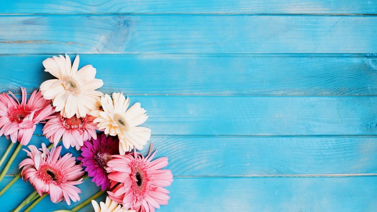 Торт полковнику