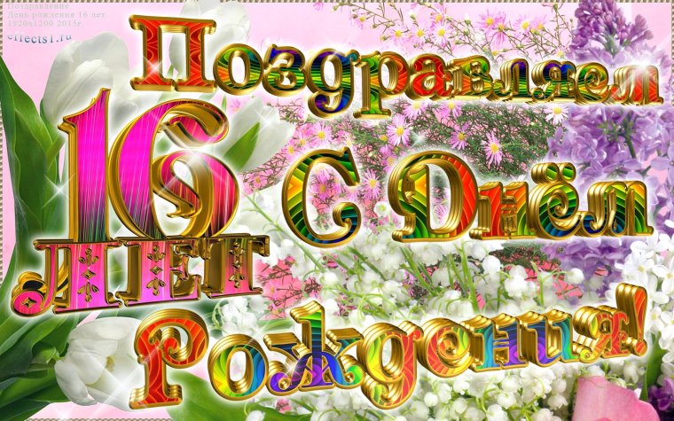 Розы Sonie Ames