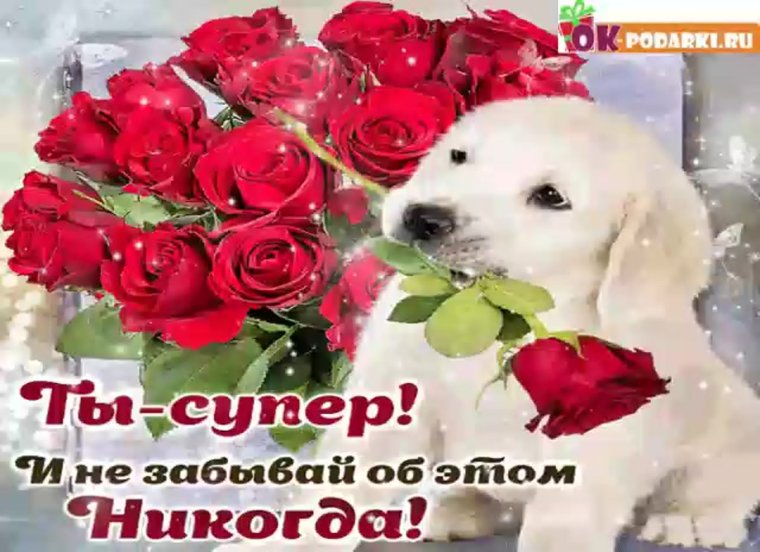 Ты супер картинки