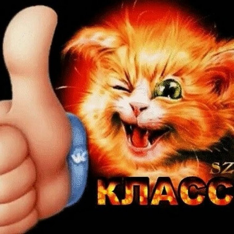 Супер прикольные открытки