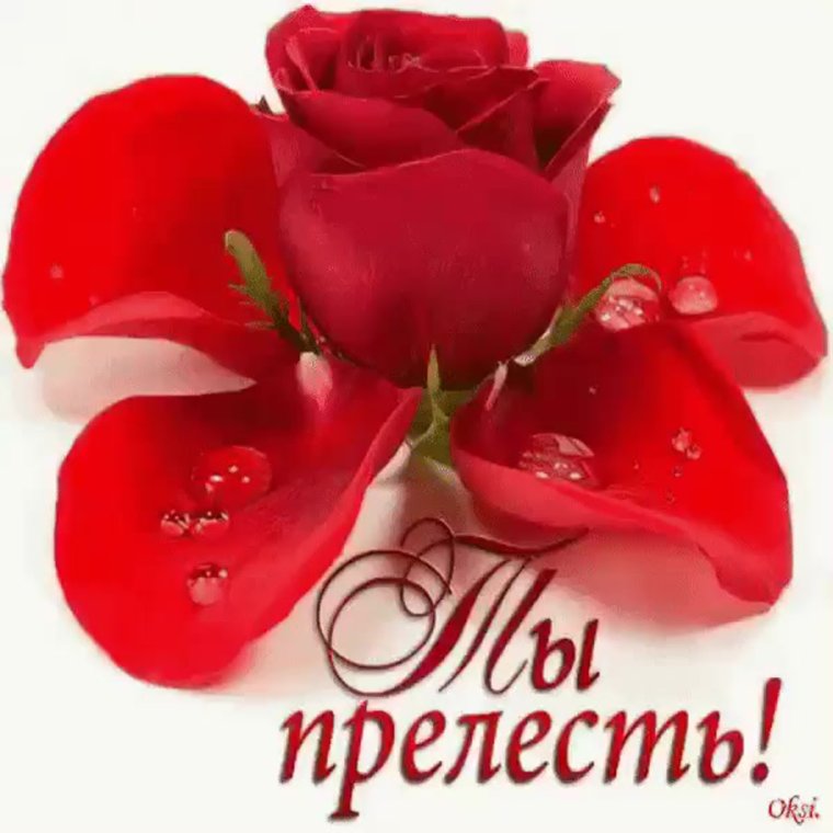 Спасибо ты прелесть