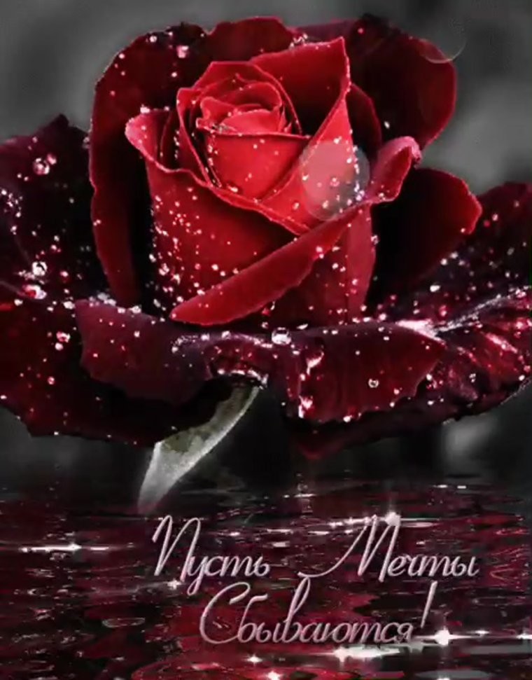 Шикарные розы мерцающие