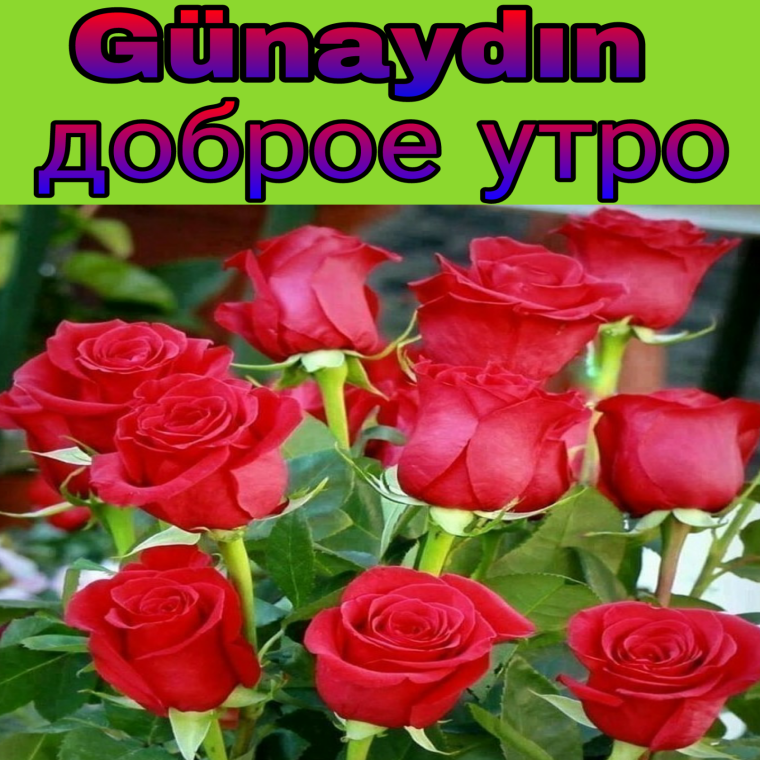 Чтоб мы цвели как розы