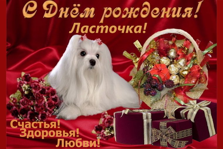 Поздравления с днём рождения девушке