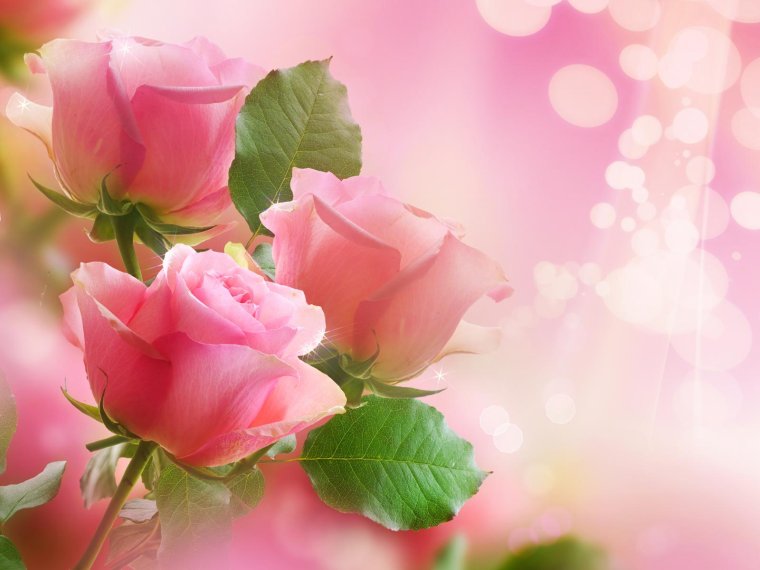 Открытка цветы