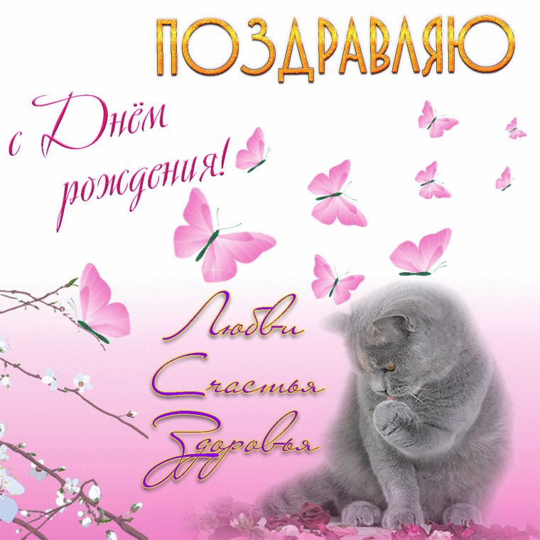Открытка с днём рождения