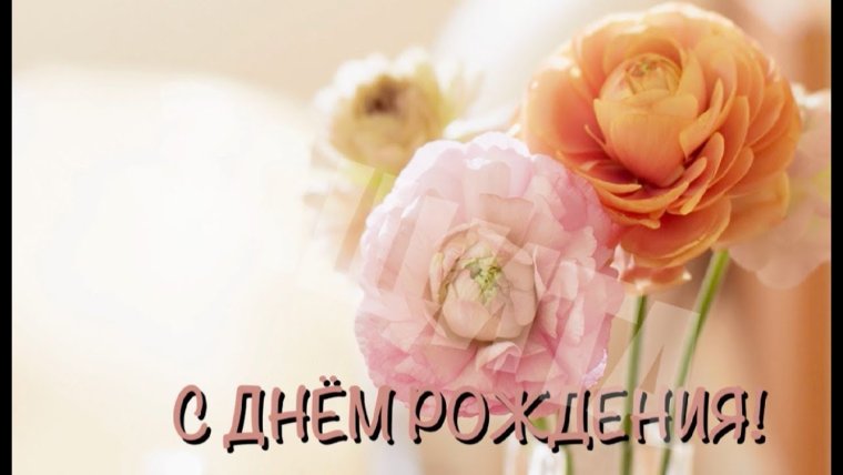 Поздравления с днём рождения Насте