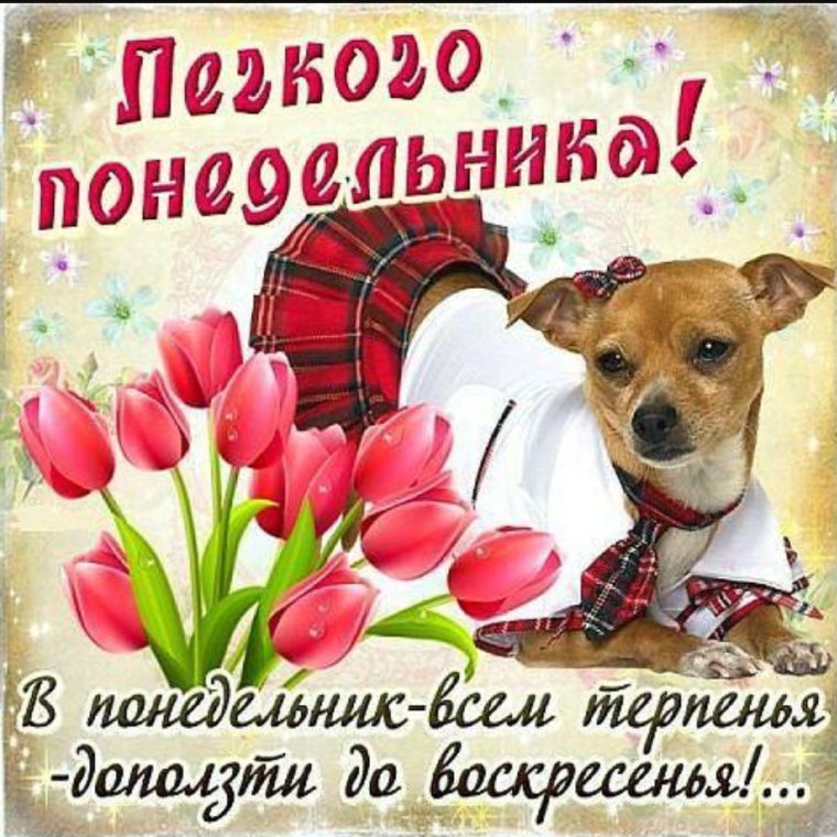 Открытки на понедельник с пожеланиями