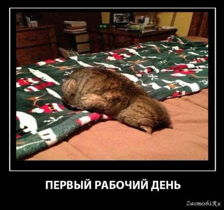 ТС первым рабочим днем