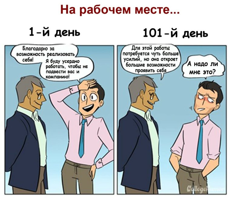 Первый день на работе прикол