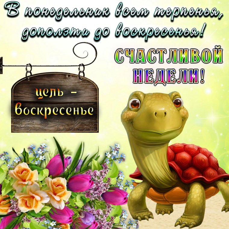 С понедельником прикольные пожелания