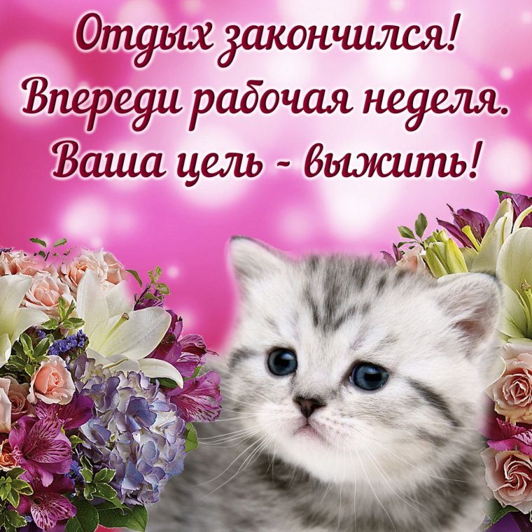 Чудесное настроение