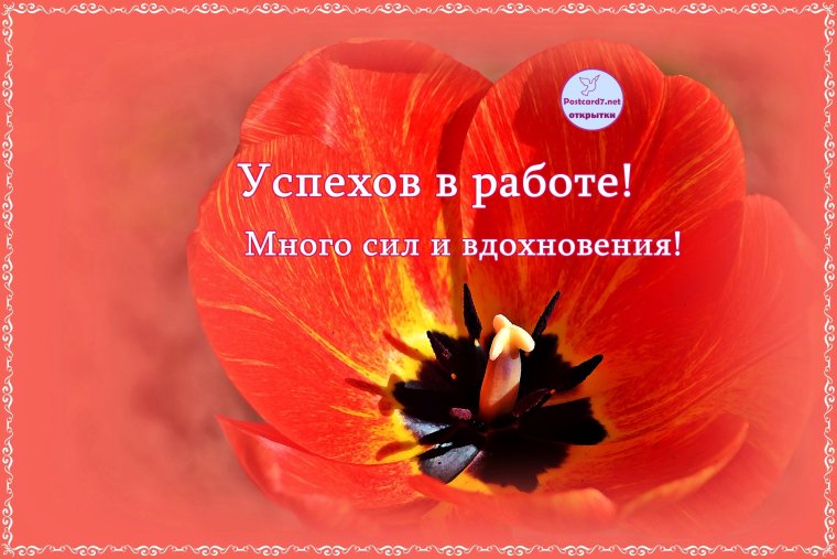 Открытки с пожеланиями успехов в работе