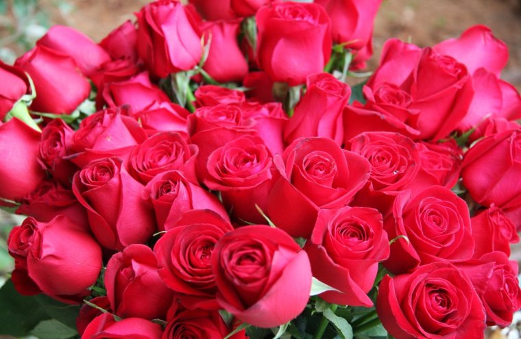 Букет прекрасных роз