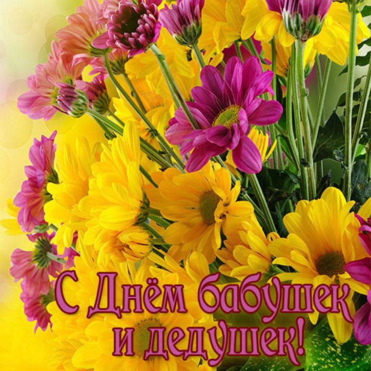 Открытки с днём пожилых прикольные