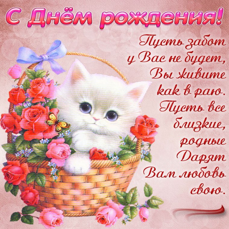 Открытки с днём рождения девочке с котиками