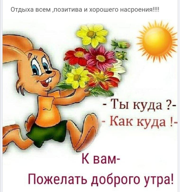 Котик в одуванчиках