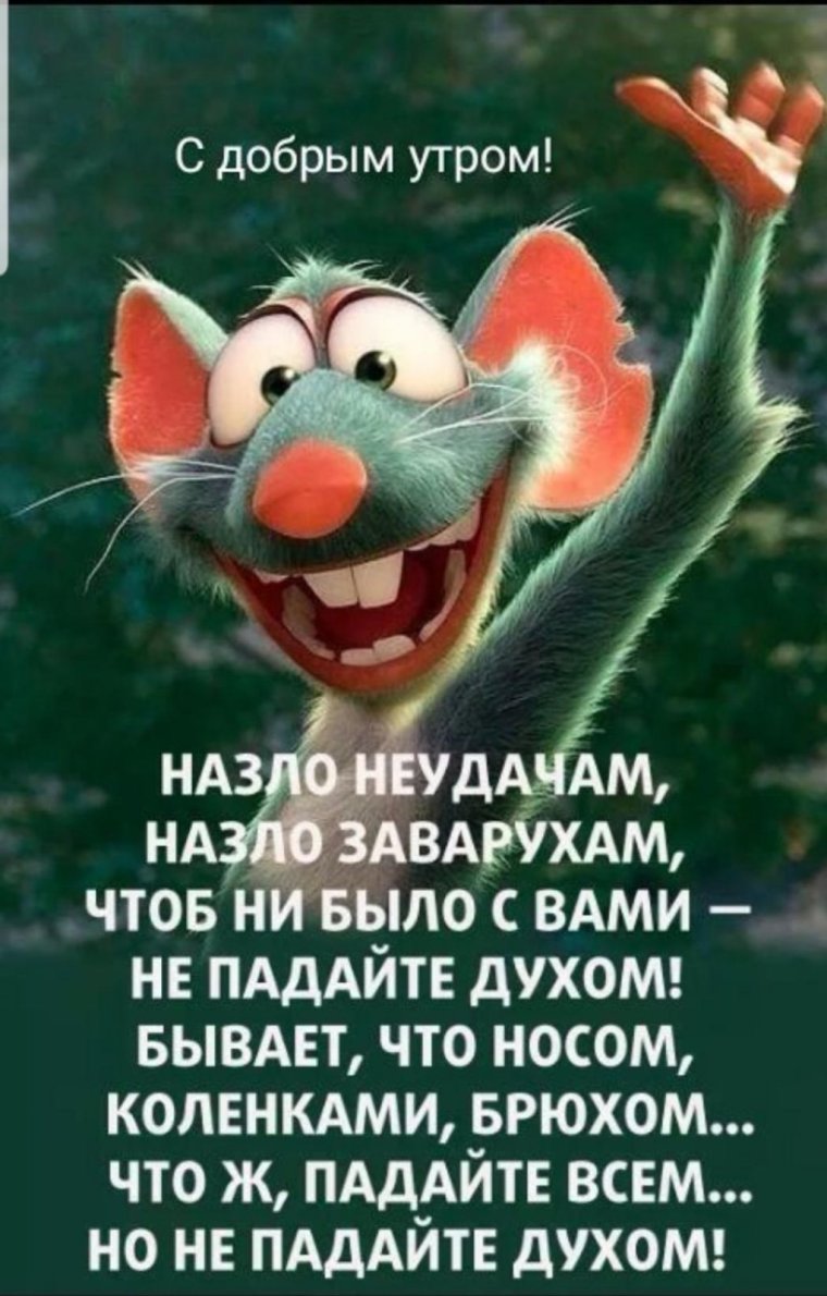 Открытки с котятами