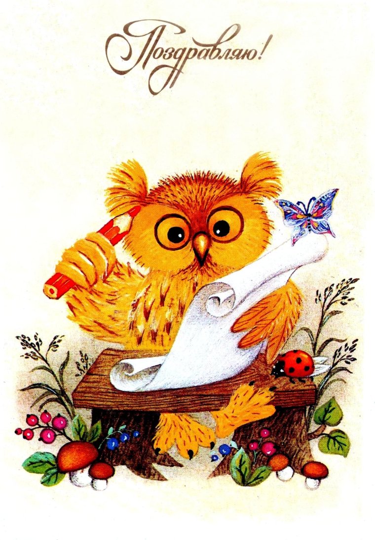 Поздравительные открытки с совами