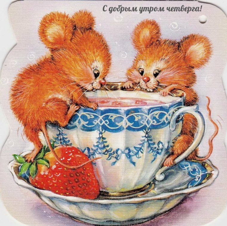 С добрым утром мыши