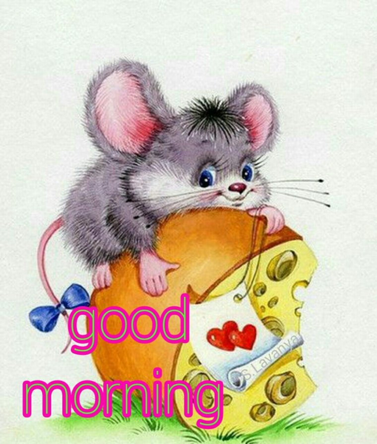 Мышки открытки с добрым утром