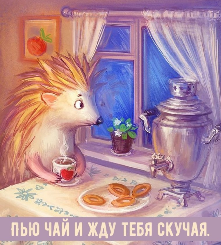 Ежик пьет чай