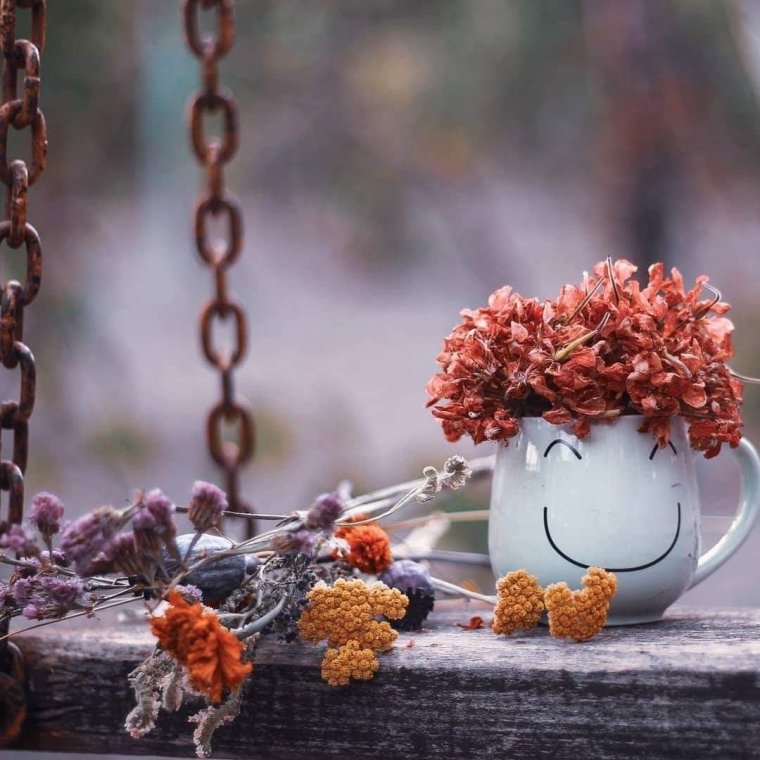 Красивые высказывания о добром утре