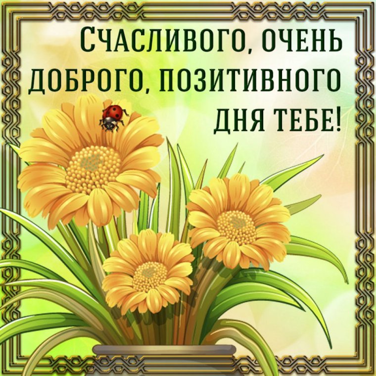 Позитивные пожелания