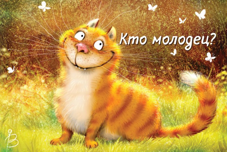 Радостный кот