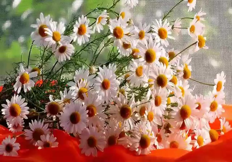 С добрым весенним утром