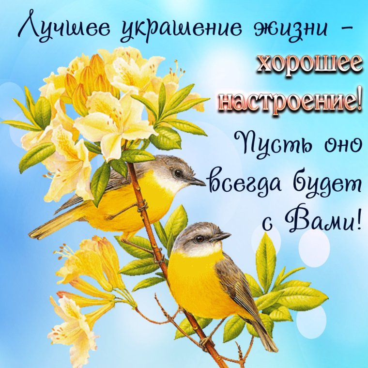 Солнечного дня и отличного настроения