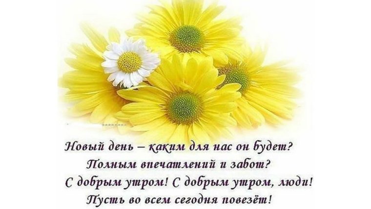 Солнечного утра стихи